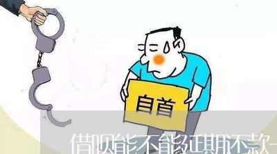 借呗能不能延期还款一年/2023061706150