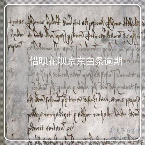 借呗花呗京东白条逾期/2023030107140