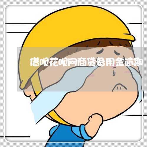 借呗花呗网商贷备用金逾期/2023030110702