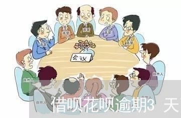 借呗花呗逾期3天了/2023022632948