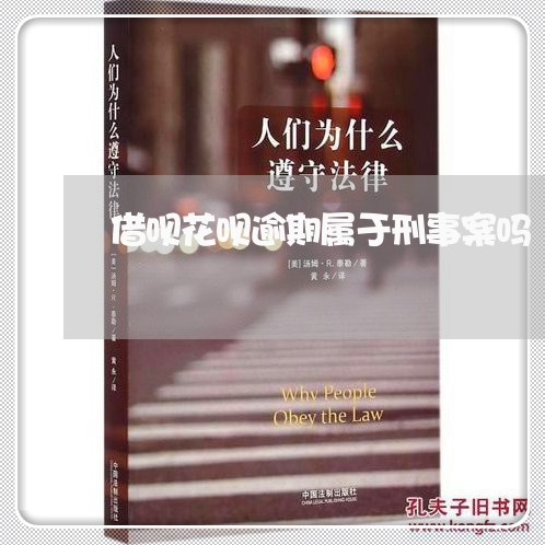 借呗花呗逾期属于刑事案吗/2023020673893