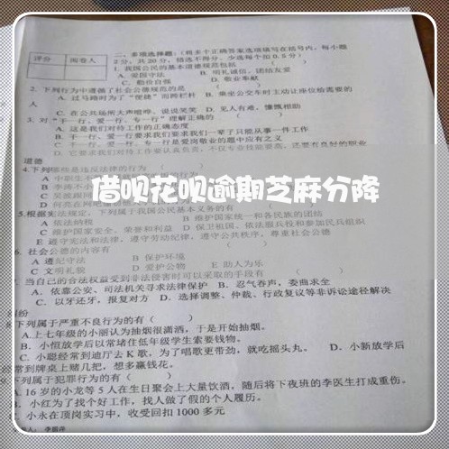 借呗花呗逾期芝麻分降/2023022573038 借呗花呗逾期芝麻分降/2023022573038