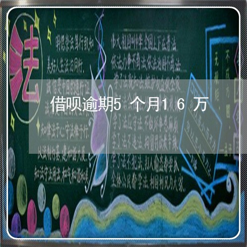 借呗逾期5个月16万/2023022427080