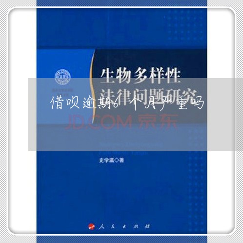 借呗逾期6个月严重吗/2023022752604