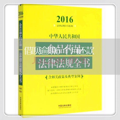借呗逾期6个月还款/2023012226159 借呗逾期6个月还款/2023012226159