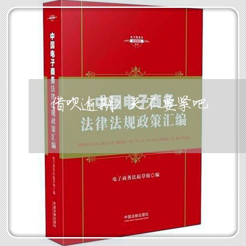 借呗逾期7天不要紧吧/2023021614146