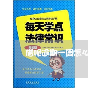 借呗逾期一周怎么办