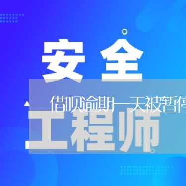 借呗逾期一天被暂停了/2023021961715