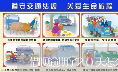 借呗逾期了20天怎么办