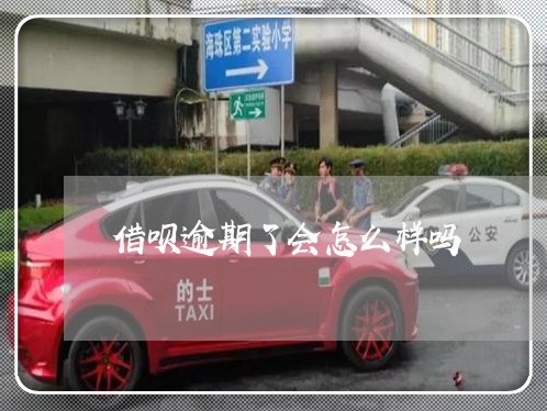 借呗逾期了会怎么样吗/2023022752716