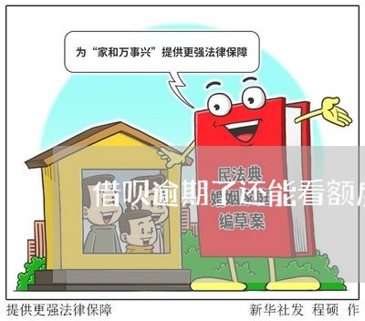 借呗逾期了还能看额度吗/2023022764847