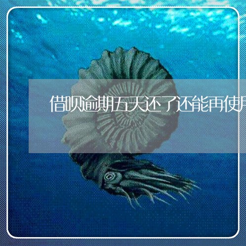 借呗逾期五天还了还能再使用吗