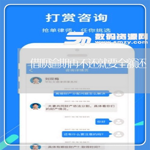 借呗逾期再不还就要全额还/2023032641517