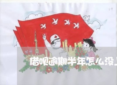 借呗逾期半年怎么没上征信