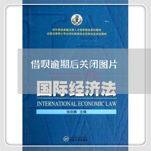 借呗逾期后关闭图片