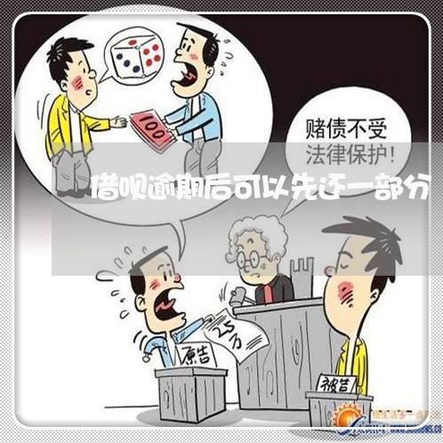 借呗逾期后可以先还一部分/2023032692695