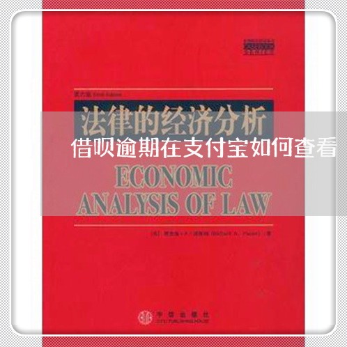 借呗逾期在支付宝如何查看/2023012295046