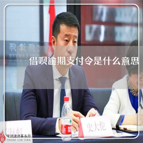 借呗逾期支付令是什么意思/2023012991715