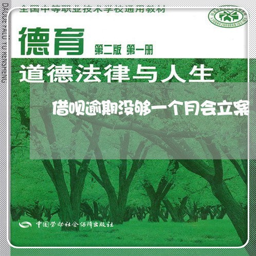借呗逾期没够一个月会立案