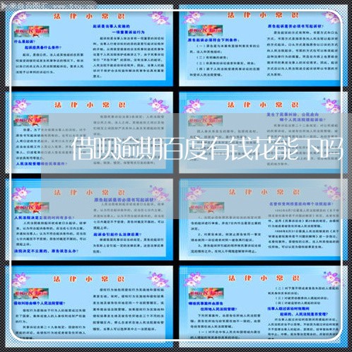 借呗逾期百度有钱花能下吗/2023061048282