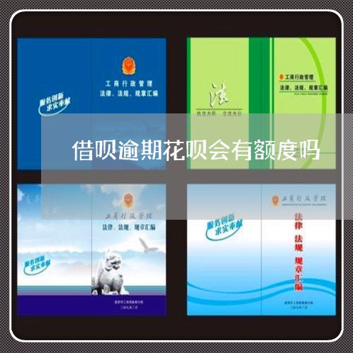 借呗逾期花呗会有额度吗/2023012633038 借呗逾期花呗会有额度吗/2023012633038