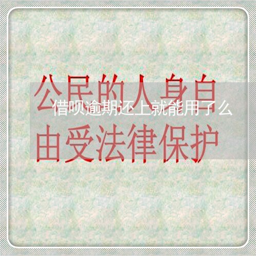 借呗逾期还上就能用了么