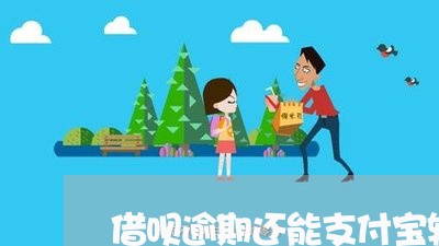 借呗逾期还能支付宝转账吗/2023012628270