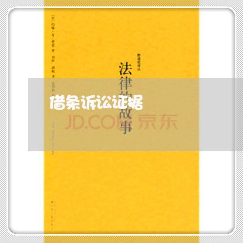 借条诉讼证据