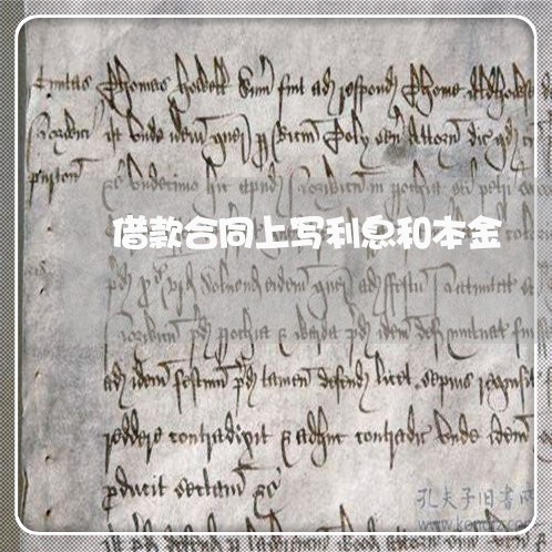 借款合同上写利息和本金/2023011672503 借款合同上写利息和本金/2023011672503