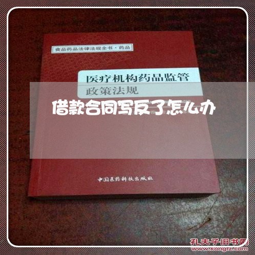 借款合同写反了怎么办/2023040941682