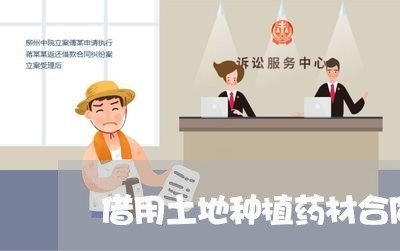 借用土地种植药材合同怎么写/2023040474704 借用土地种植药材合同怎么写/2023040474704