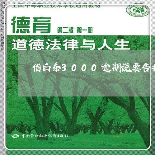 借白条3000逾期说要告我