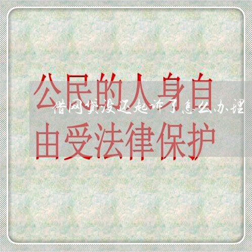 借网贷没还起诉了怎么办理