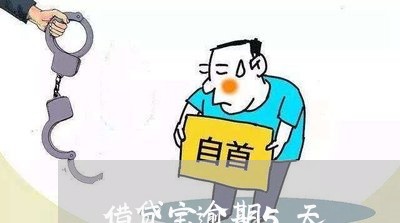借贷宝逾期5天 借贷宝逾期5天