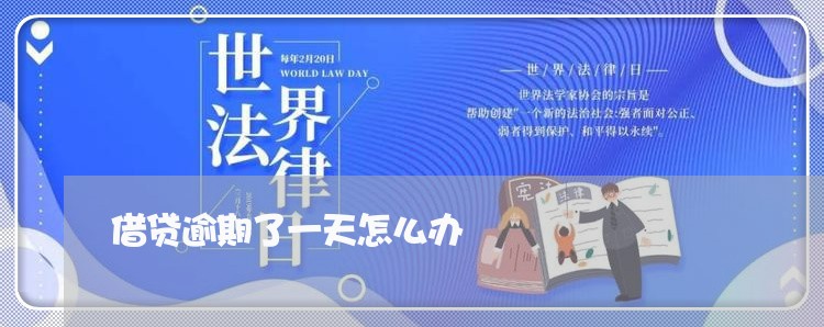 借贷逾期了一天怎么办