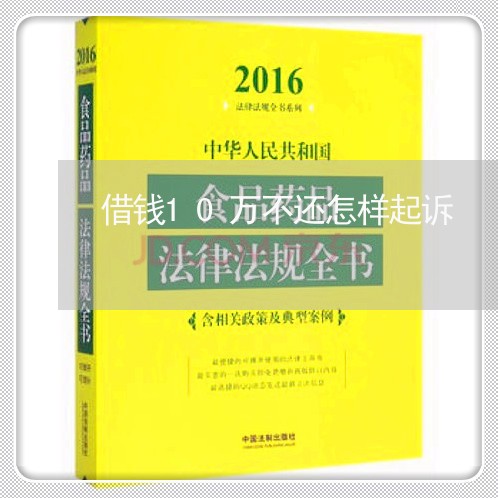 借钱10万不还怎样起诉