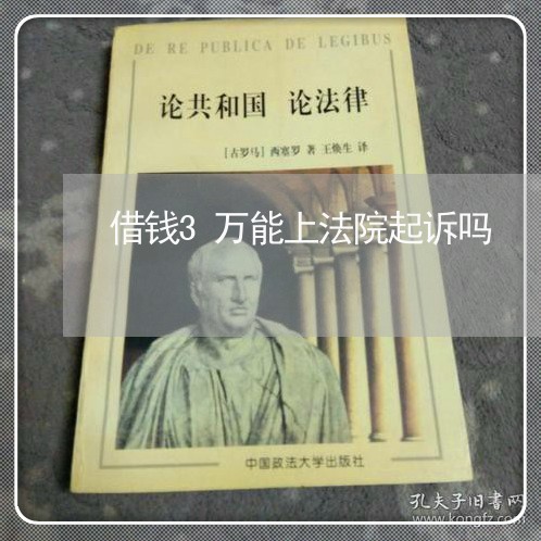 借钱3万能上法院起诉吗