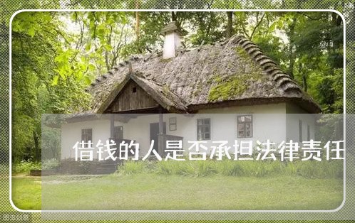 借钱的人是否承担法律责任 借钱的人是否承担法律责任