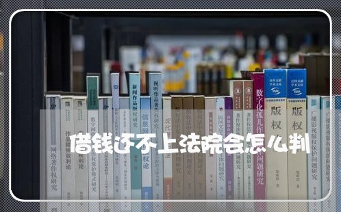 借钱还不上法院会怎么判