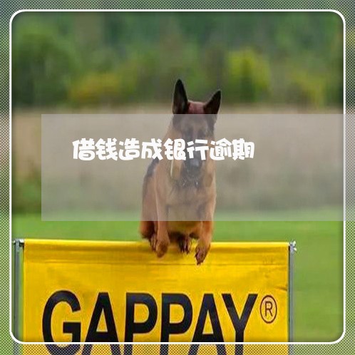 借钱造成银行逾期