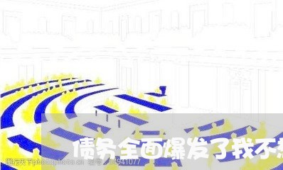 债务全面爆发了我不想活了/2023020506028