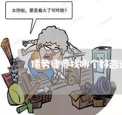 债务律师找哪个好咨询一下/2023060894828