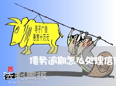 债务逾期怎么处理信用卡还款/2023021959562