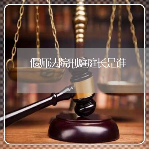 偃师法院刑庭庭长是谁