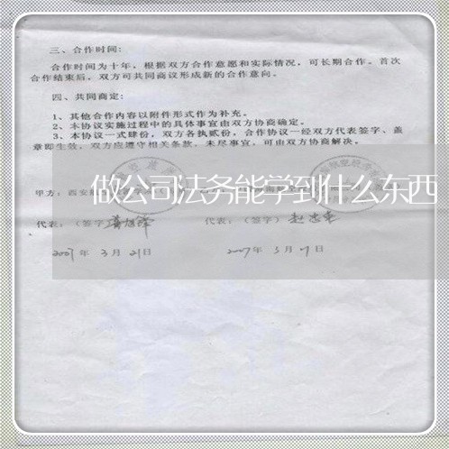做公司法务能学到什么东西 做公司法务能学到什么东西