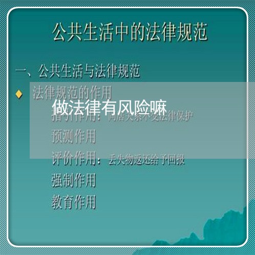 做法律有风险嘛