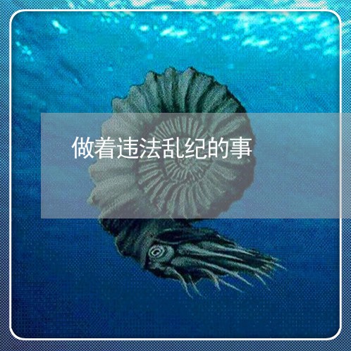 做着违法乱纪的事