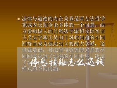 停息挂账怎么还钱/2023012887471