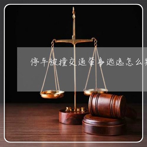 停车被撞交通肇事逃逸怎么判/2023061137248