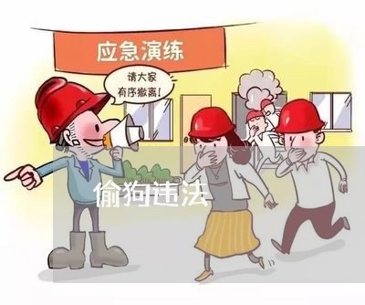 偷狗违法